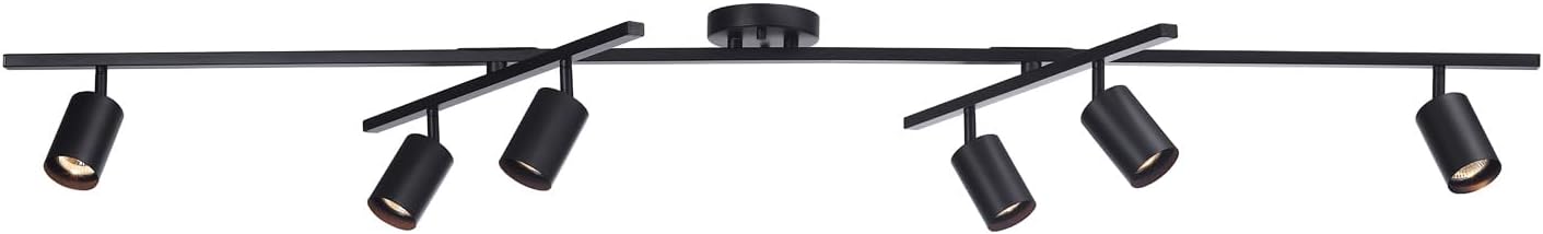Dimmable 6-Light Track Lighting Fixture