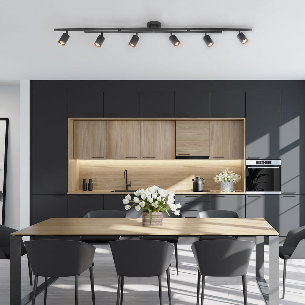 Dimmable 6-Light Track Lighting Fixture